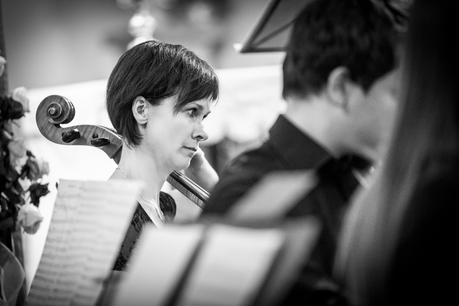 IMG_3981